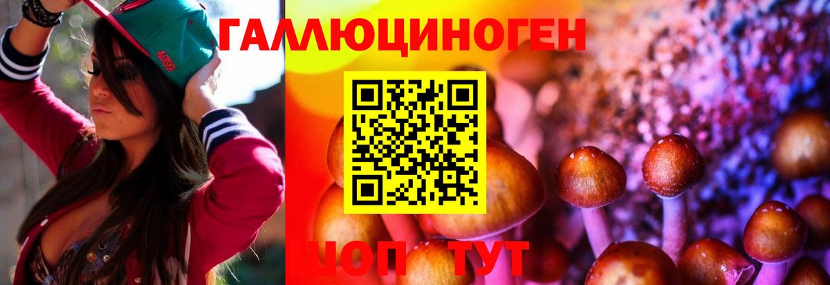 Галлюциногенные грибы мухоморы  Псилоцибиновые грибы MAGIC MUSHROOMS  купить   Курчатов  Вход с VPN 